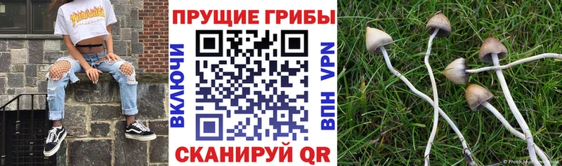 продажа наркотиков Азнакаево kraken как зайти Галлюциногенные грибы ЛСД